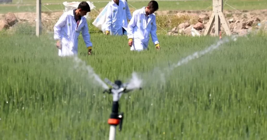 ‘Tematik Tarım’a 6 il daha eklendi