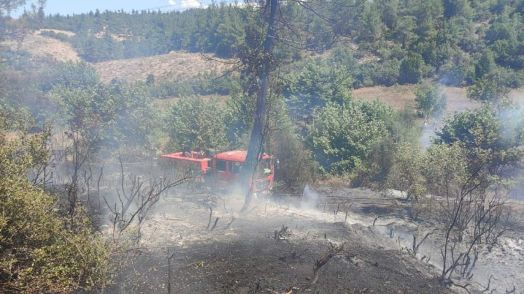 Orhaneli'nde orman yangını çıktı 