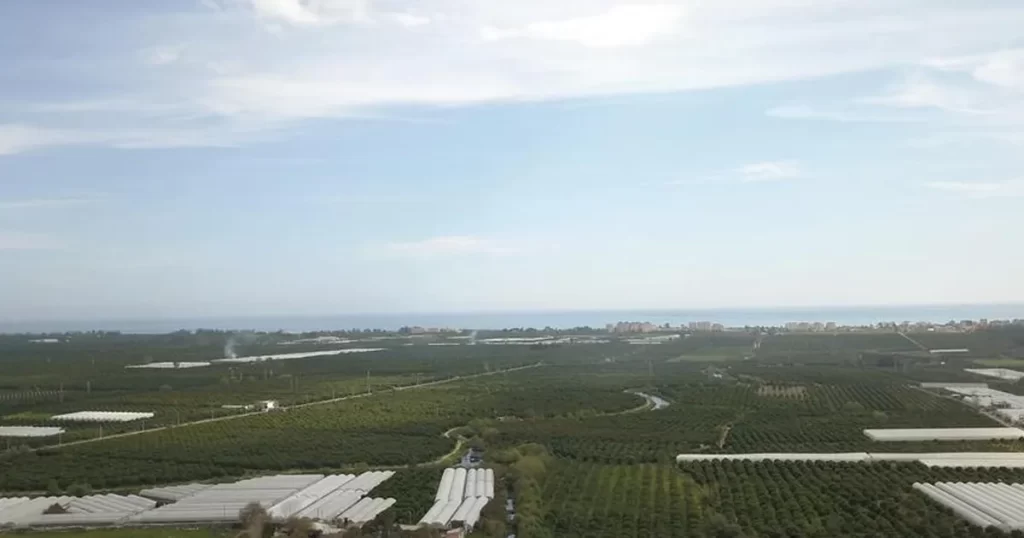 Başkan Geyikçi: ‘Böyle devam ederse sofraya koyacak ürün bulamayacağız’