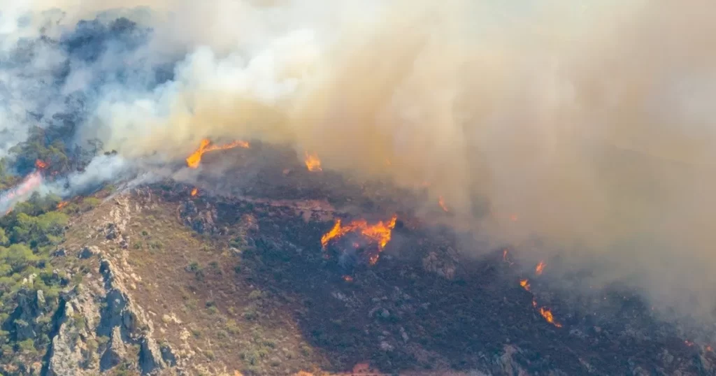 Başkan Tugay’dan yangın raporu – İGF HABER
