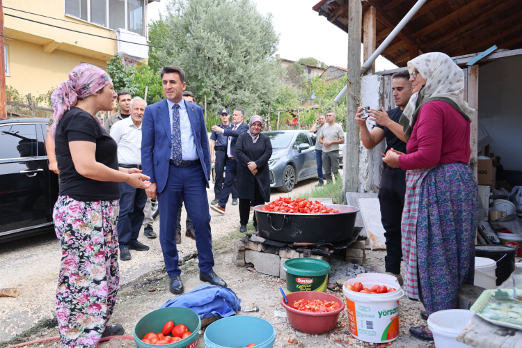 Bilecik Valisi Aygöl, Harmanköy'de üzüm hasadında