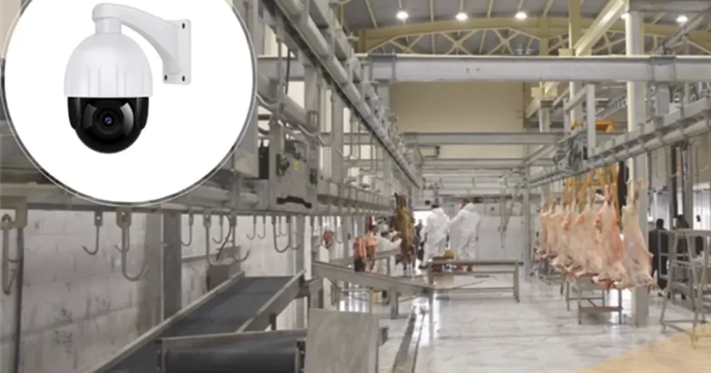 Kesimhanelere kamera zorunluluğu! – İGF HABER