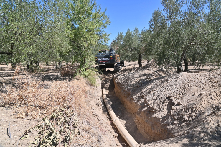 Manisa'da 2 bin 100 dekar arazi Öveçli ile suya kavuşacak