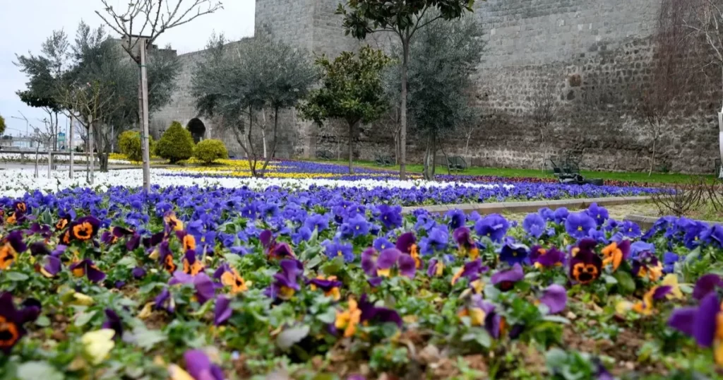 Trabzon çiçeklerle süslendi – İGF HABER