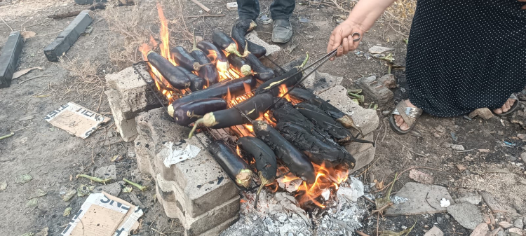 Mardin'de ‘babaganuç’ mesaisi başladı