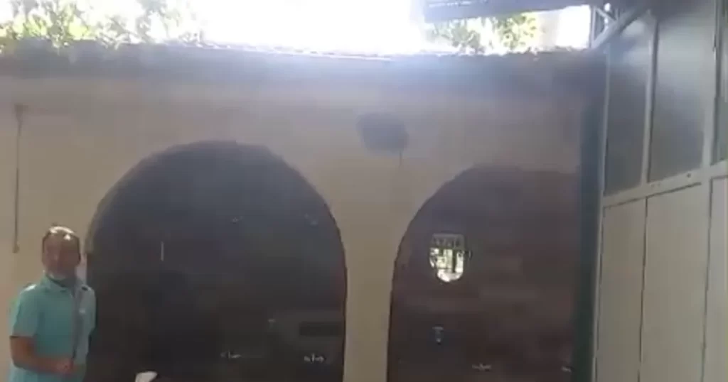 Yılanın kuş yuvasına saldırısı görüntülendi