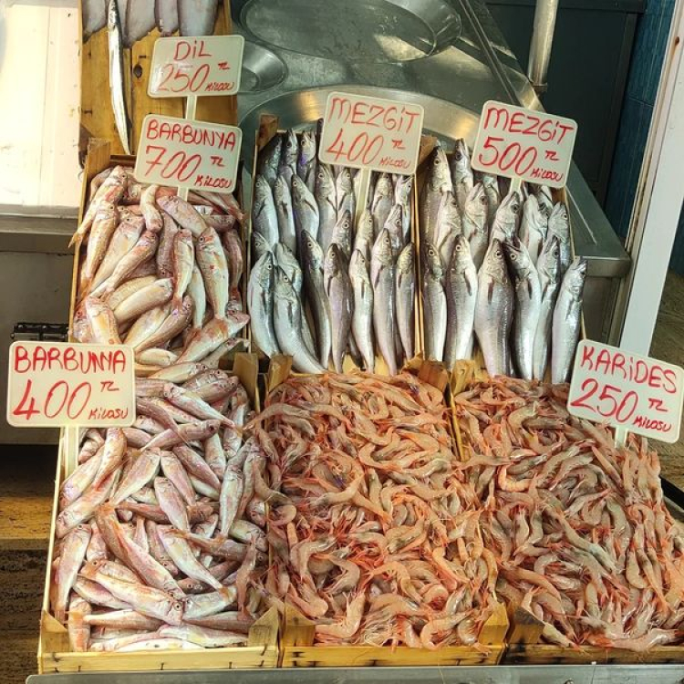 Mudanya'daki balıkçı tezgahları palamutla doldu