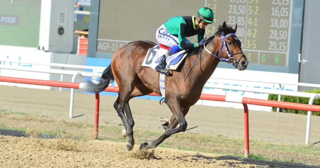 Bursa’da Büyükşehir Başkanlık koşusu – İGF HABER