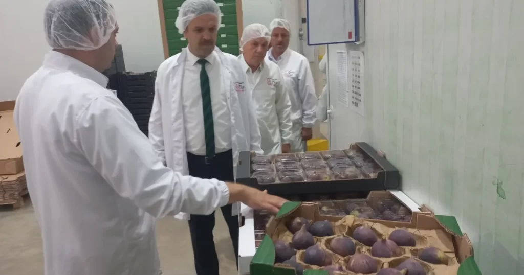 Bursa Siyah İnciri’ne coğrafi işaret denetimi