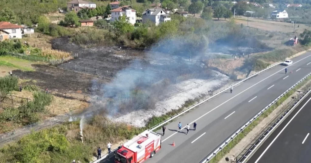 Düzce’de anız yangını! Fındık arazisi zarar gördü!