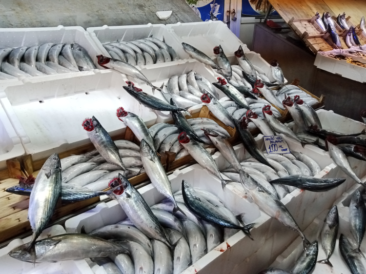 Bursa Tuz Pazarı’nda balık sezonu yoğunluğu başladı