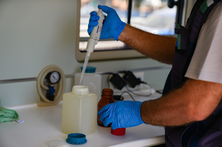 Kirli suları İzmir Körfezi'ne deşarj etmişler! Balık ölümleri sürüyor!