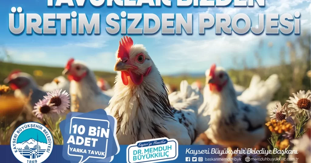 Kayseri Büyükşehir, kırsaldaki kadın üreticilere 10 bin tavuk dağıtacak