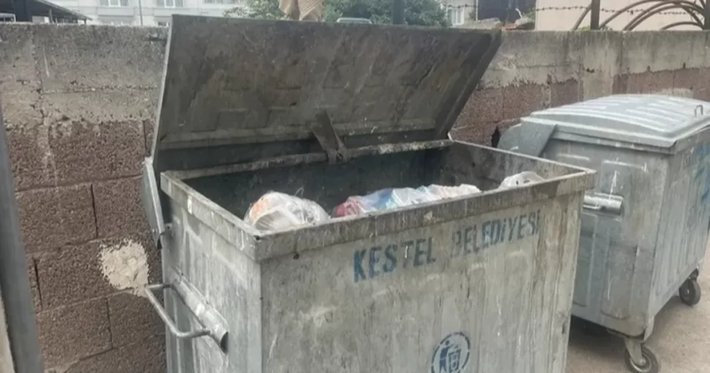 Kestel kötü kokular ile burun buruna