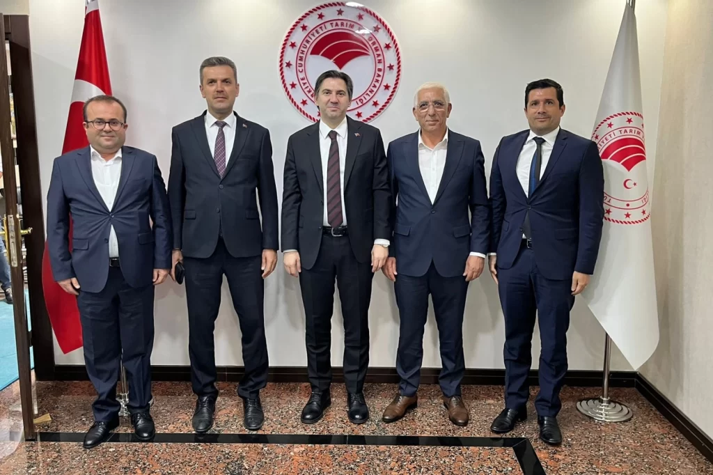 Zeytin hasadı öncesi Marmarabirlik'ten bakanlık nezdinde görüşme… İhracat kısıtlaması kaldırılmalı!