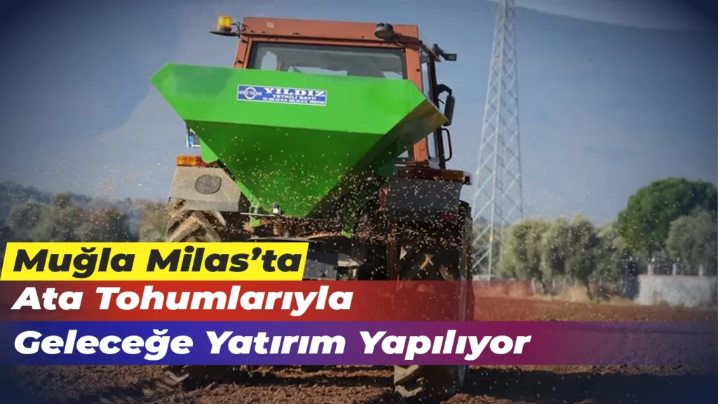 Ata Tohumlarıyla Geleceğe Yatırım Yapılıyor