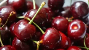 Sultandağı’nda Kiraz Ağaçları Kökleniyor: Yetiştiriciler Umutsuz