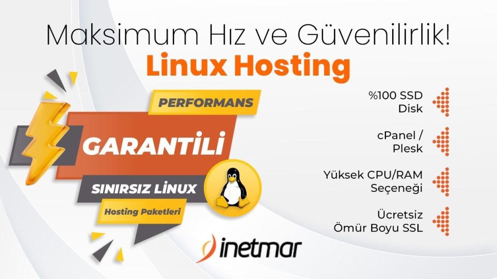 Sınırsız Hosting ile Web Sitenize Özgürlük Tanıyın!